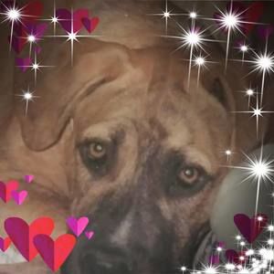 Meet your Posher, Carolyn